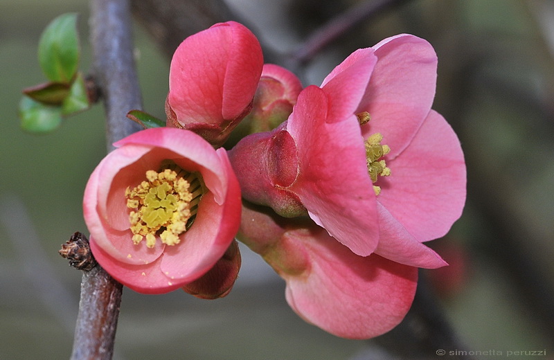 Aria di primavera...